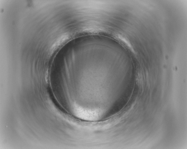 X0000088890023200706221851