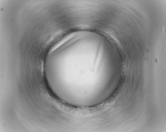 X0000088890024200706221851