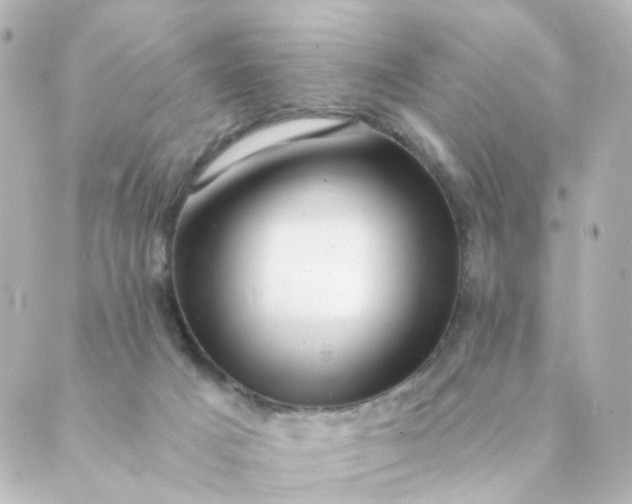 X0000088890025200706221851