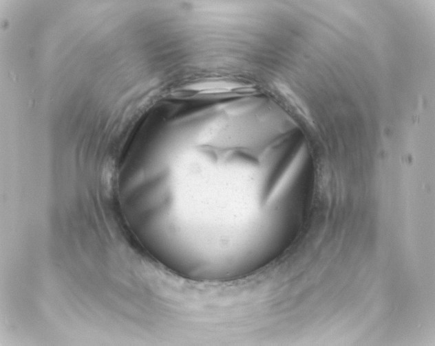 X0000088890026200706221851