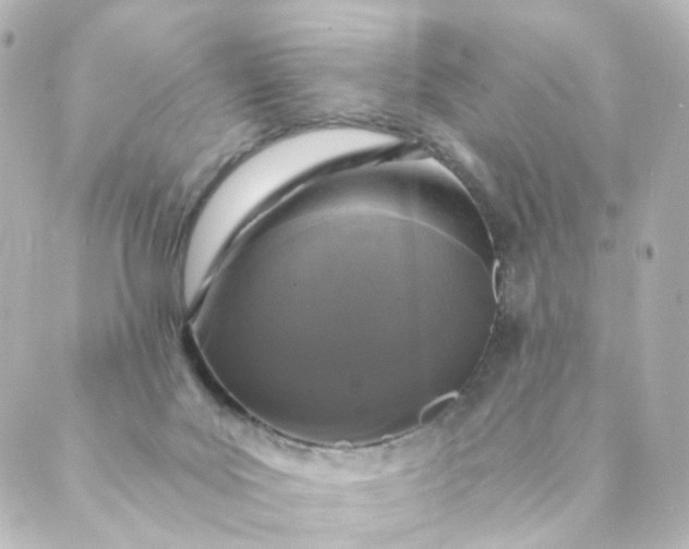 X0000088890027200706221851