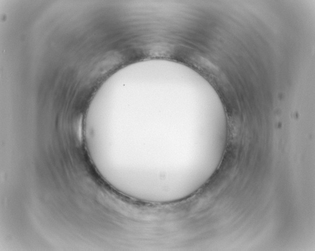 X0000088890028200706221851