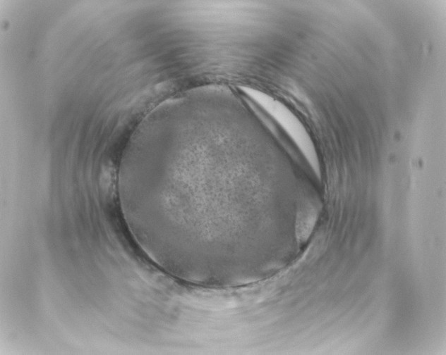 X0000088890029200706221851