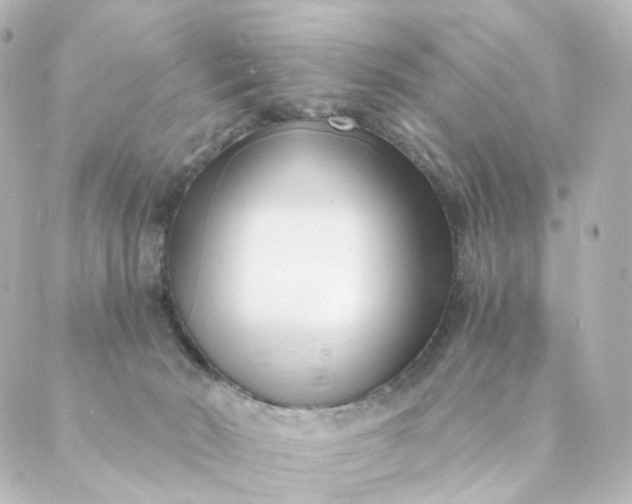 X0000088890030200706221851