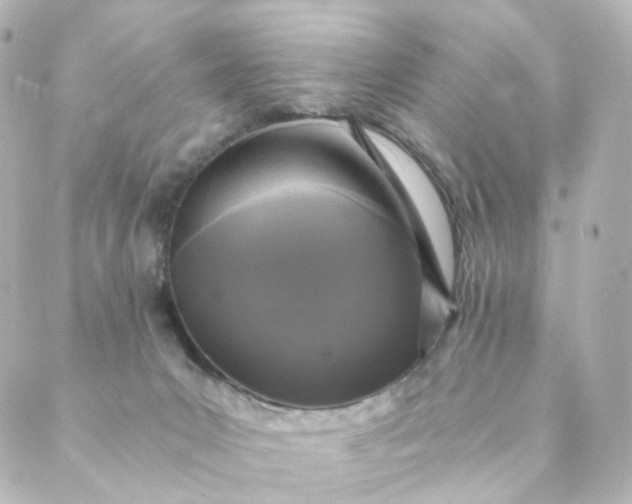 X0000088890031200706221851