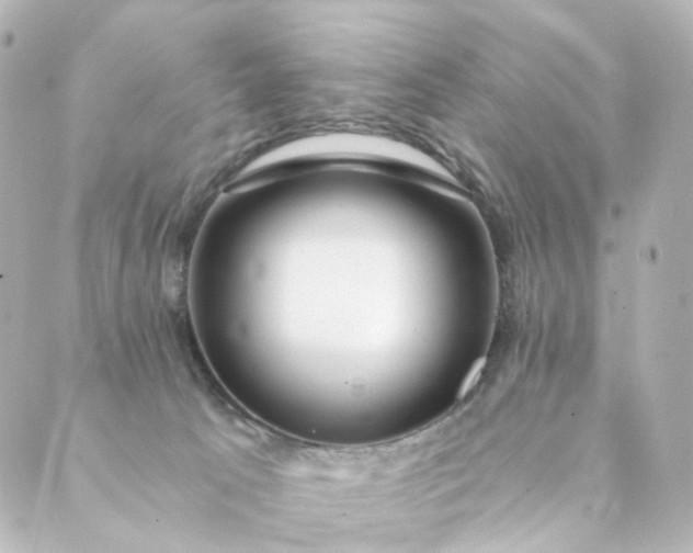 X0000088890033200706221851