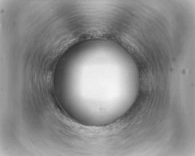 X0000088890034200706221851