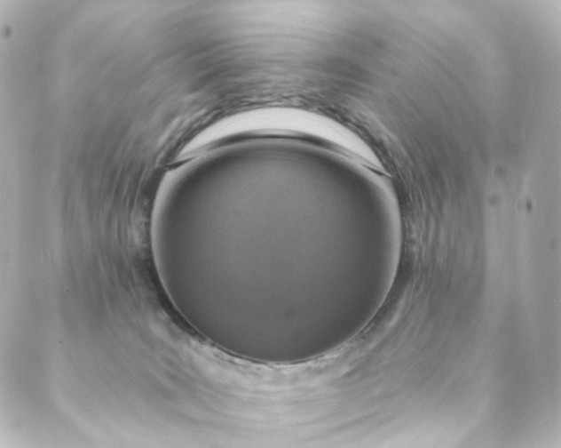 X0000088890035200706221851