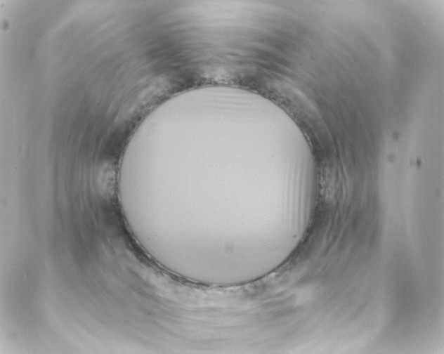 X0000088890036200706221851