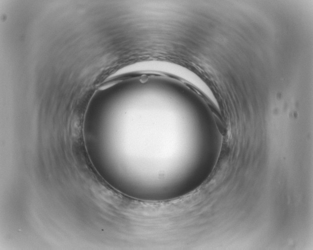 X0000088890037200706221851