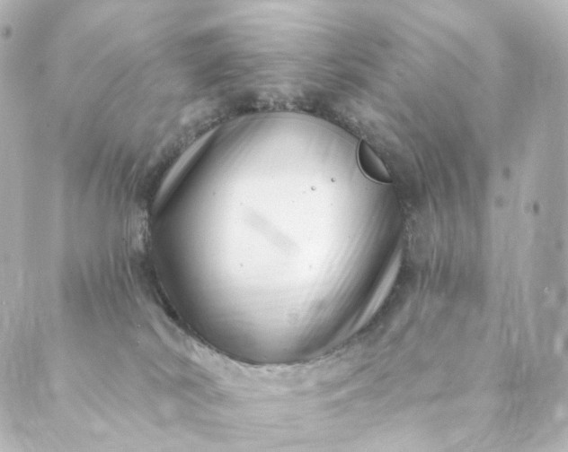 X0000088890038200706221851