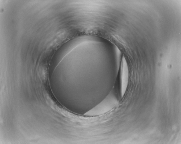 X0000088890039200706221851