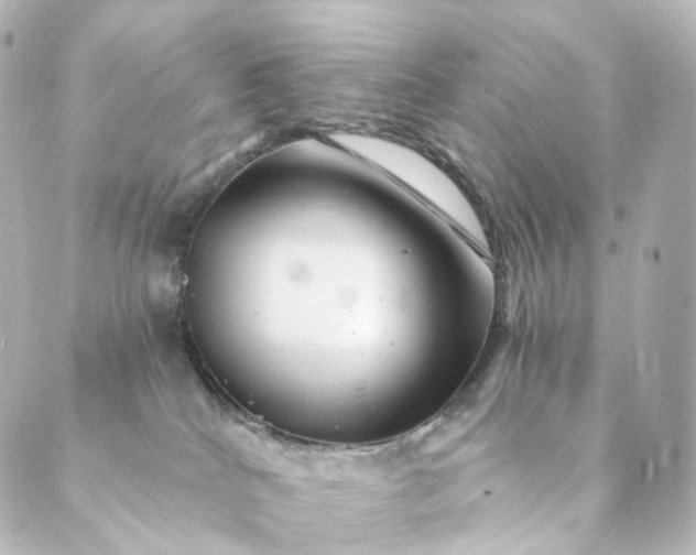 X0000088890040200706221851