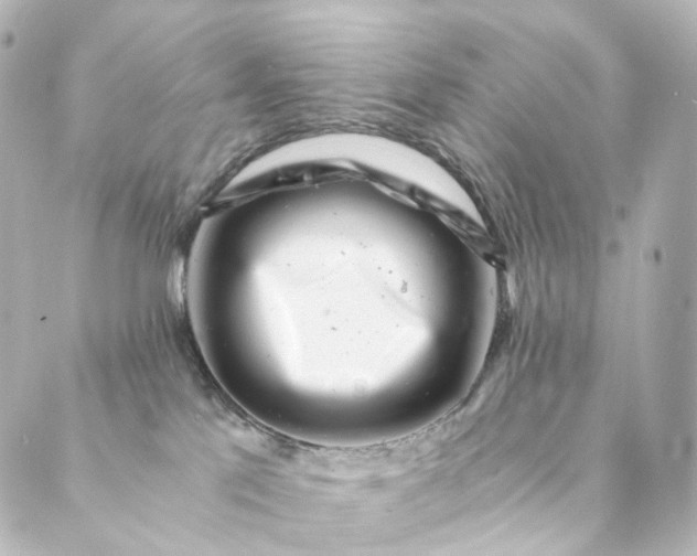 X0000088890041200706221851