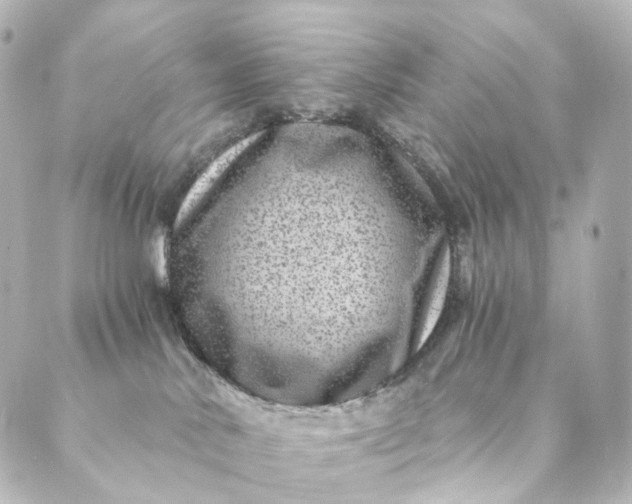 X0000088890042200706221851