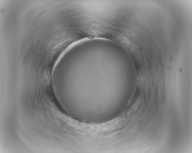 X0000088890043200706221851