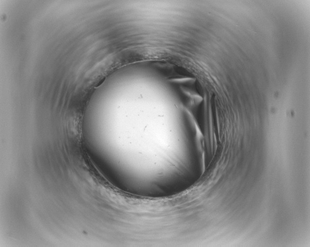 X0000088890044200706221851