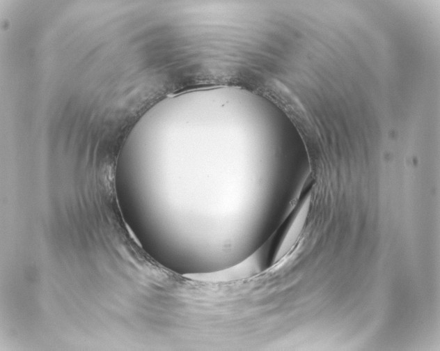 X0000088890045200706221851