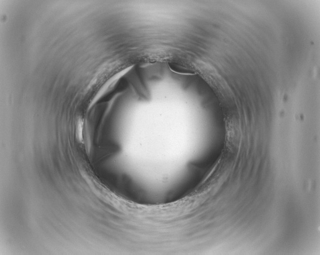 X0000088890046200706221851