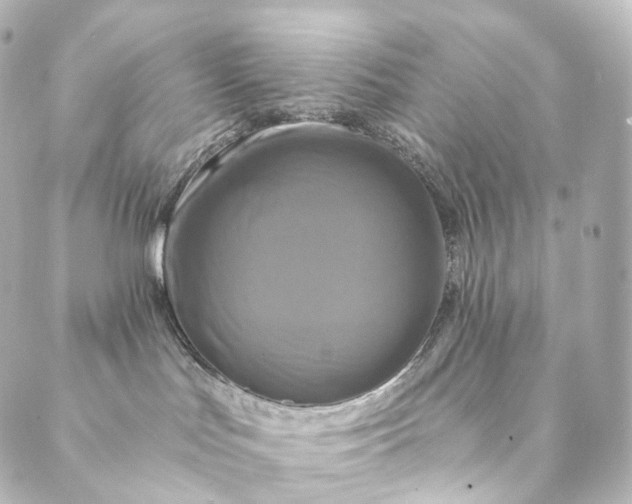 X0000088890047200706221851