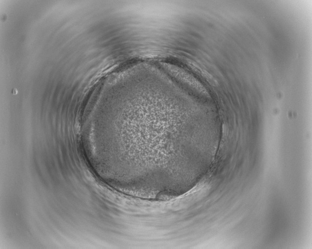 X0000088890048200706221851