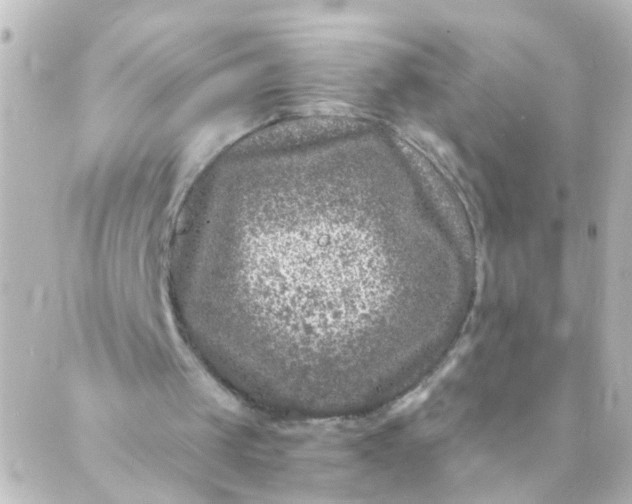 X0000088890049200706221850