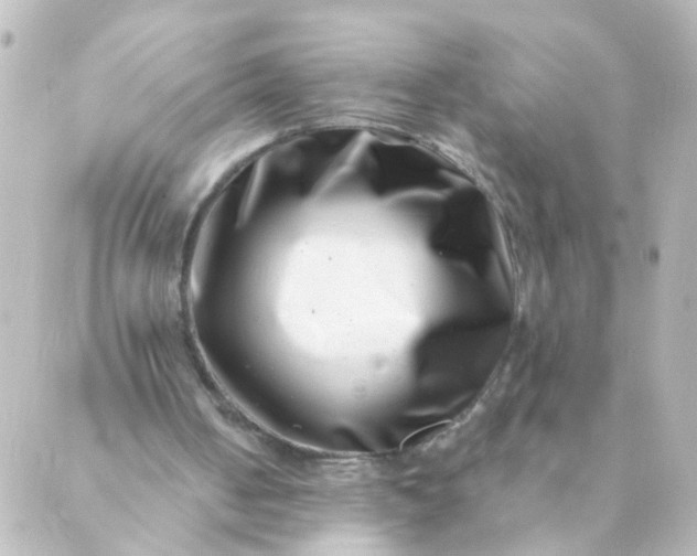 X0000088890050200706221850