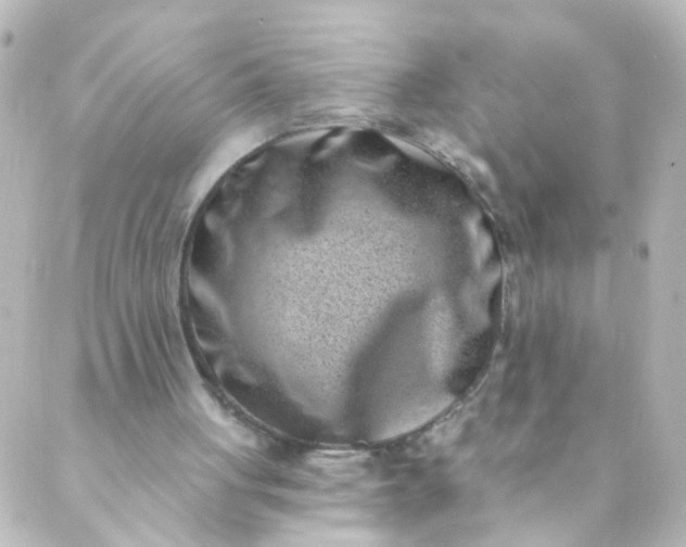 X0000088890051200706221850