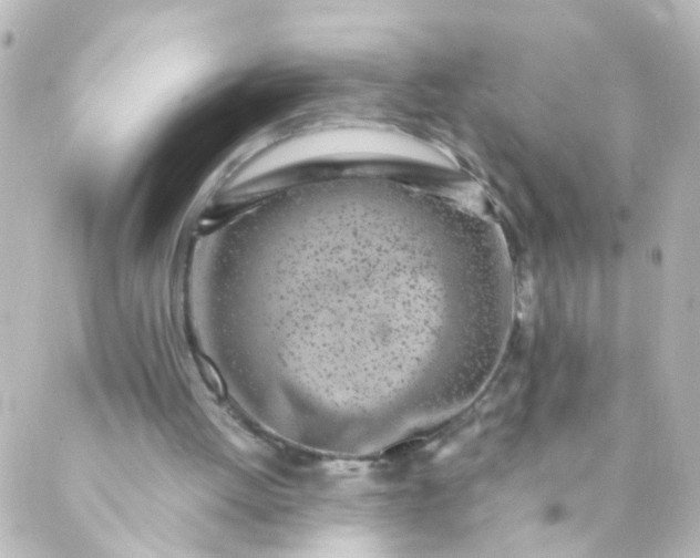 X0000088890052200706221850