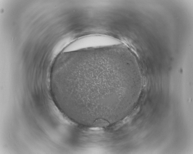 X0000088890053200706221850