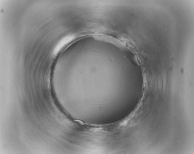 X0000088890054200706221850