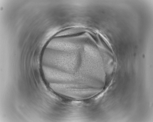 X0000088890055200706221850