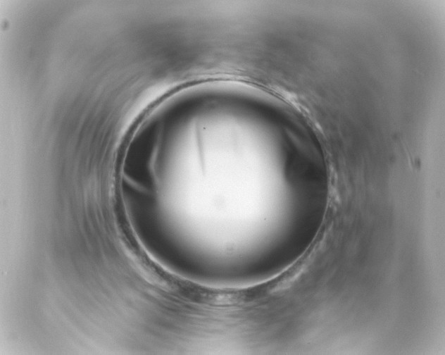 X0000088890056200706221850