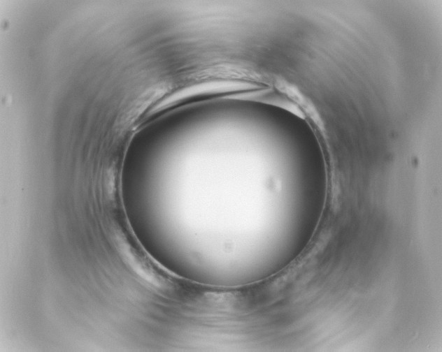 X0000088890057200706221850