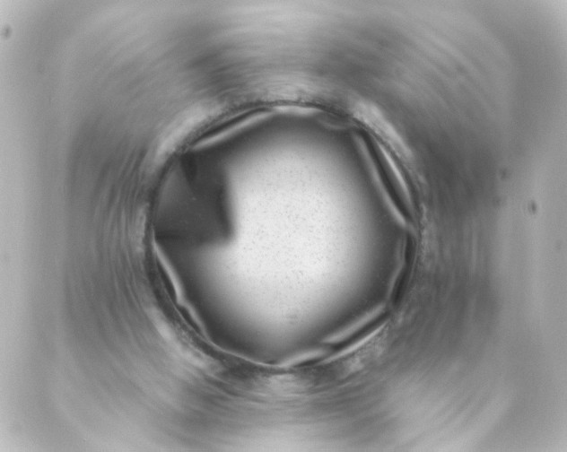 X0000088890058200706221850