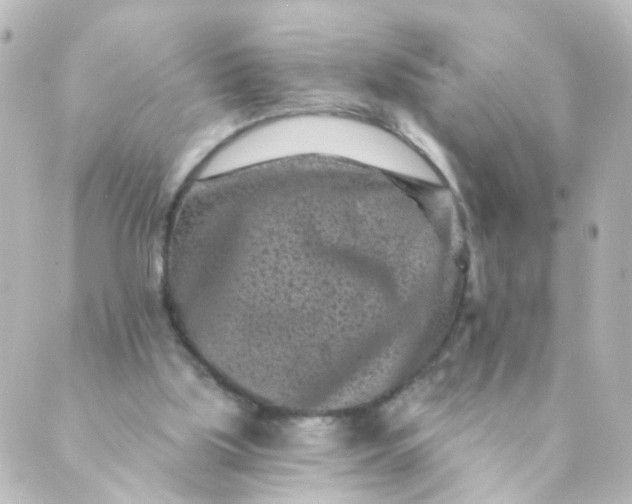 X0000088890059200706221850