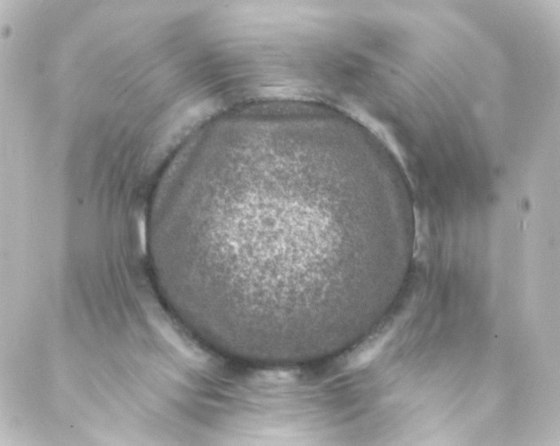 X0000088890061200706221850