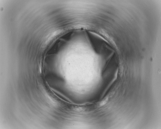 X0000088890062200706221850