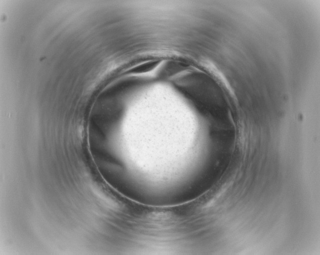 X0000088890063200706221850