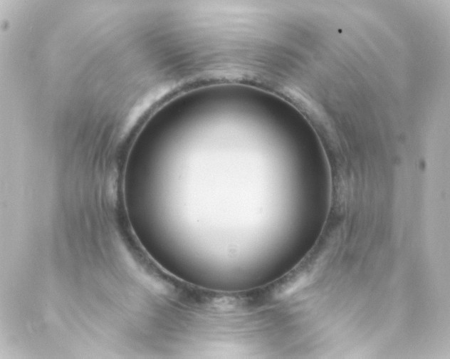 X0000088890064200706221850