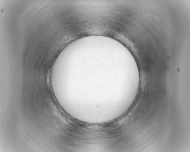 X0000088890065200706221850