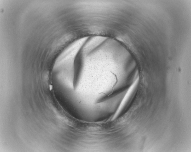 X0000088890066200706221850