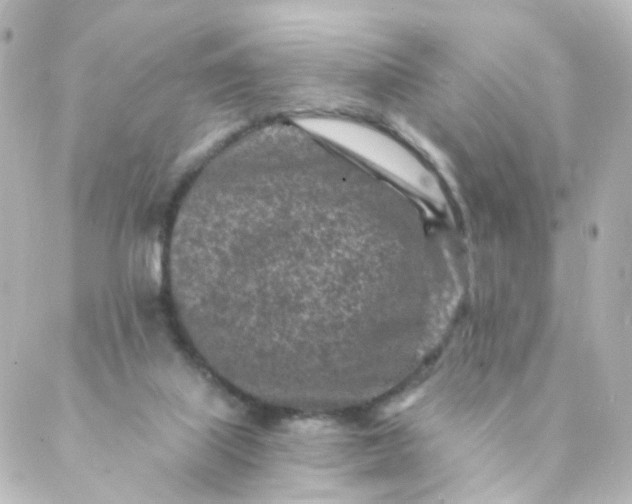 X0000088890067200706221850