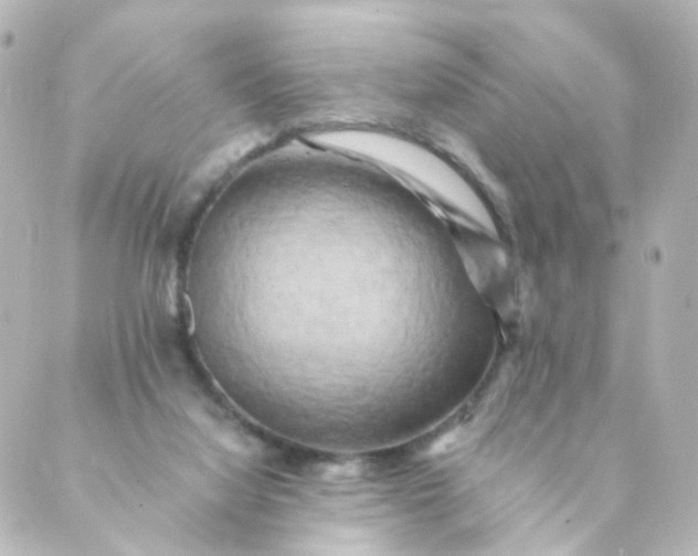 X0000088890068200706221850