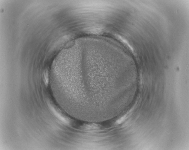 X0000088890069200706221850