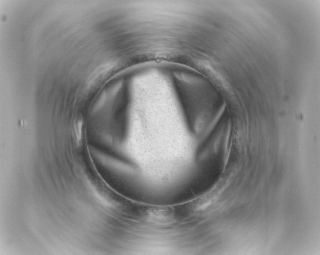 X0000088890070200706221850