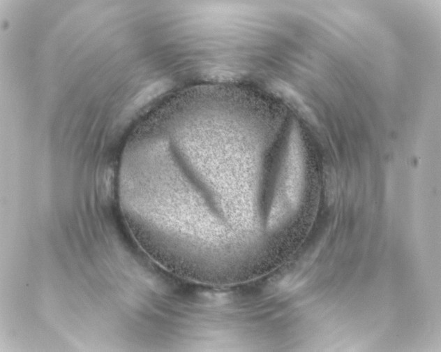 X0000088890071200706221850