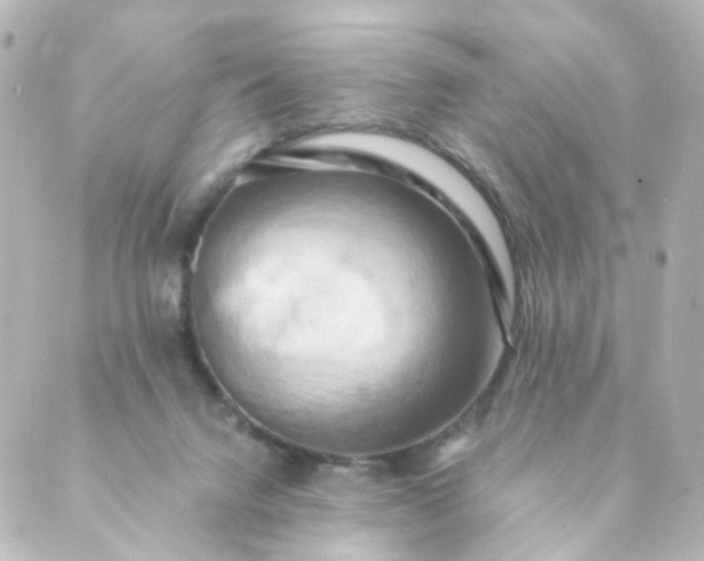 X0000088890072200706221850