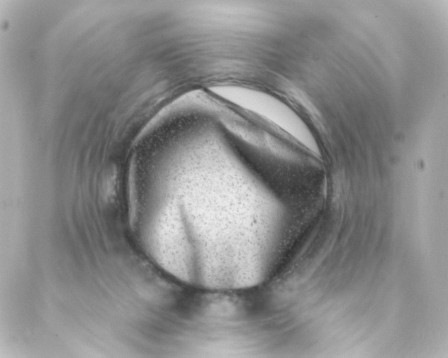 X0000088890073200706221850