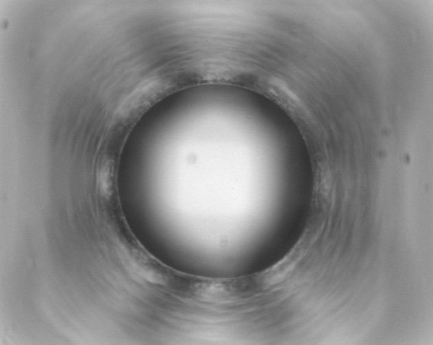 X0000088890074200706221850